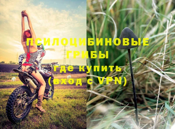 дурь Навашино