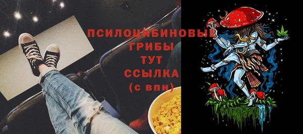 дурь Навашино