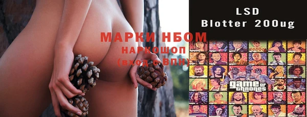 сатива Нефтекумск