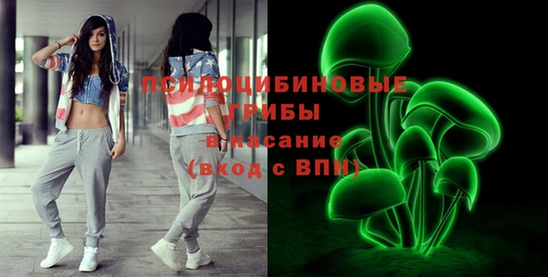 хмурый Надым